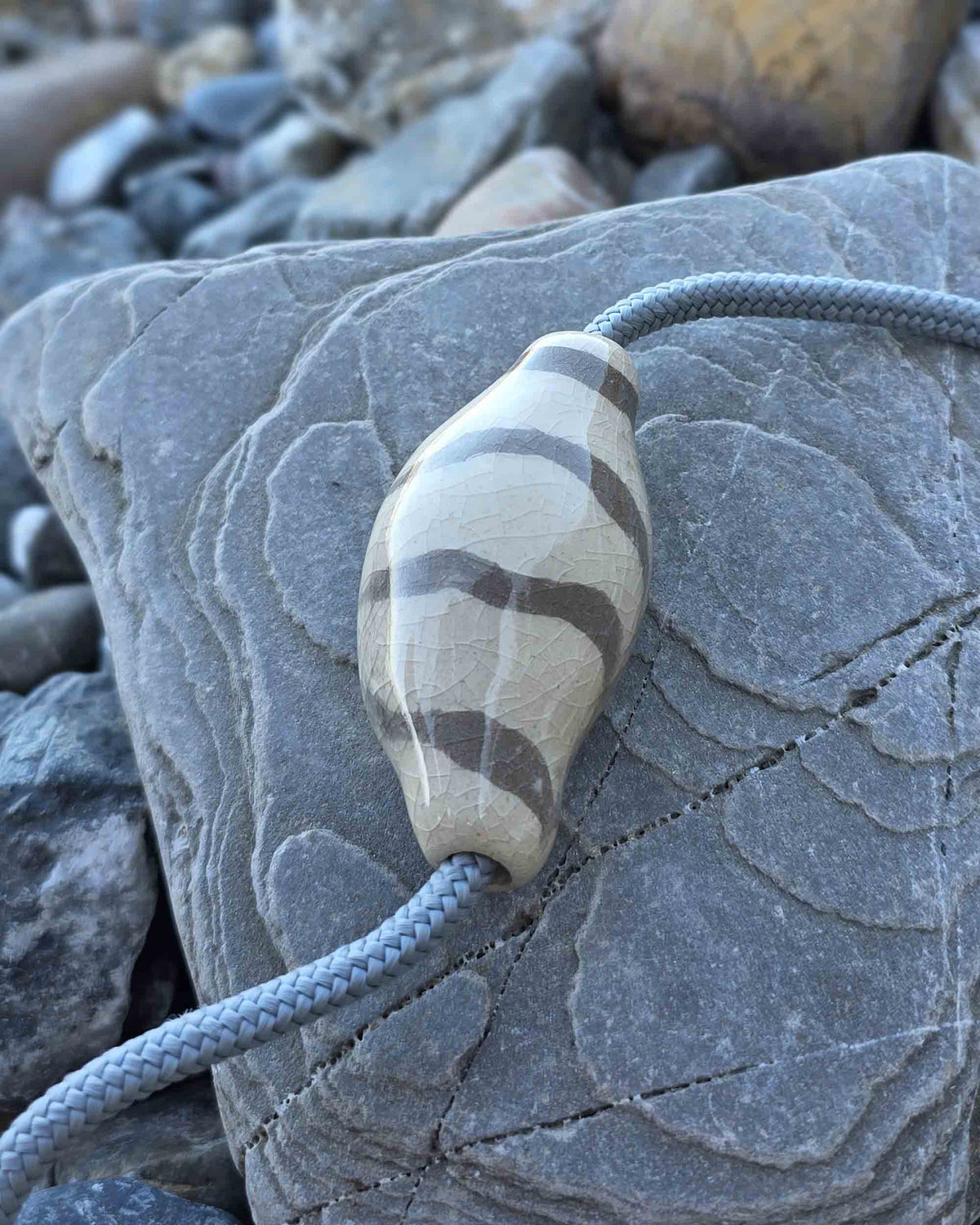 Collana Eco – macro della conchiglia sulla roccia