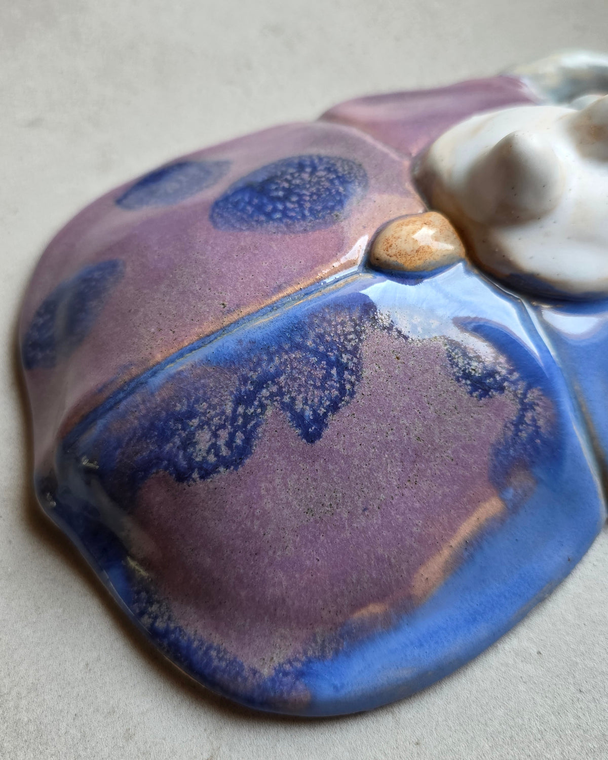 Scarabeo Lavanda – macro delle ali smaltate